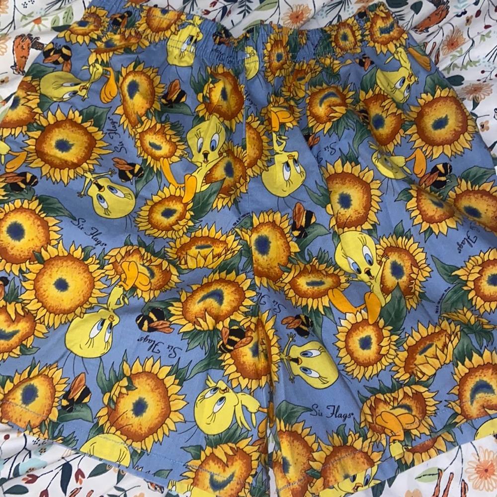 Super Rare Six Flags Tweety Bird Shorts 1995 Looney Tunes
